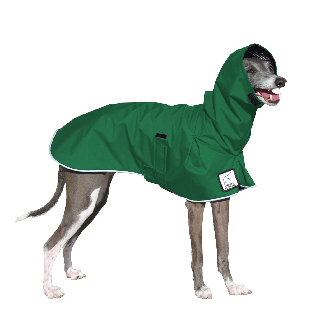 Italian Greyhound Raincoat in Green