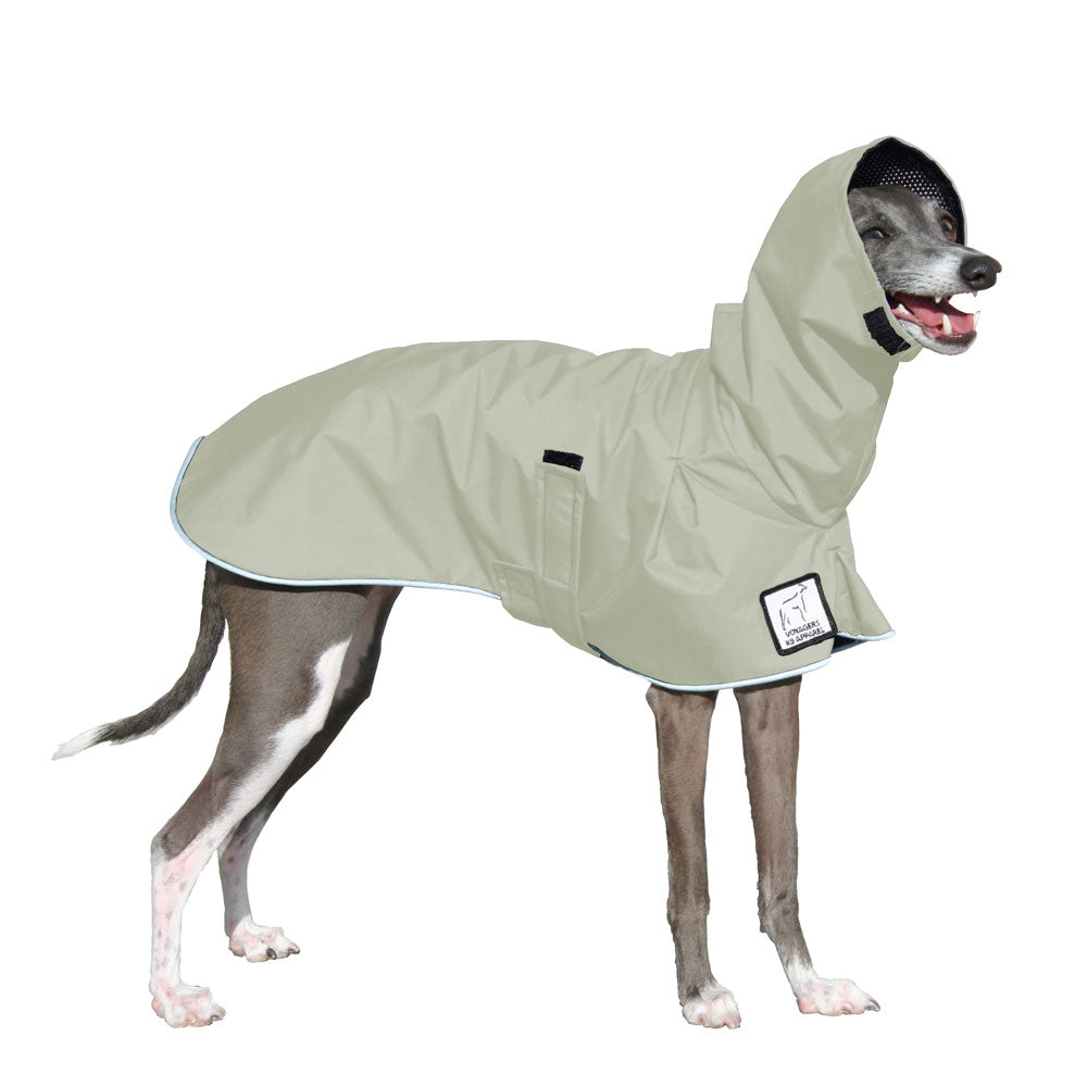 Italian Greyhound Raincoat in Silver Sage
