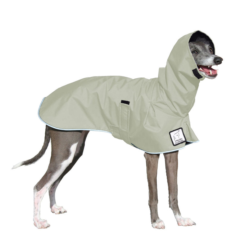 Italian Greyhound Raincoat in Silver Sage