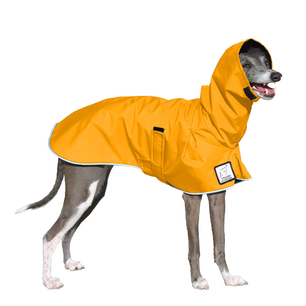 Italian Greyhound Raincoat in Yellow