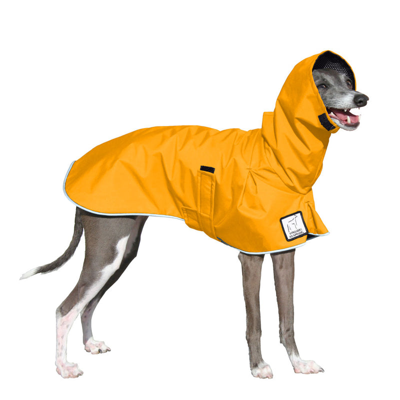 Italian Greyhound Raincoat in Yellow