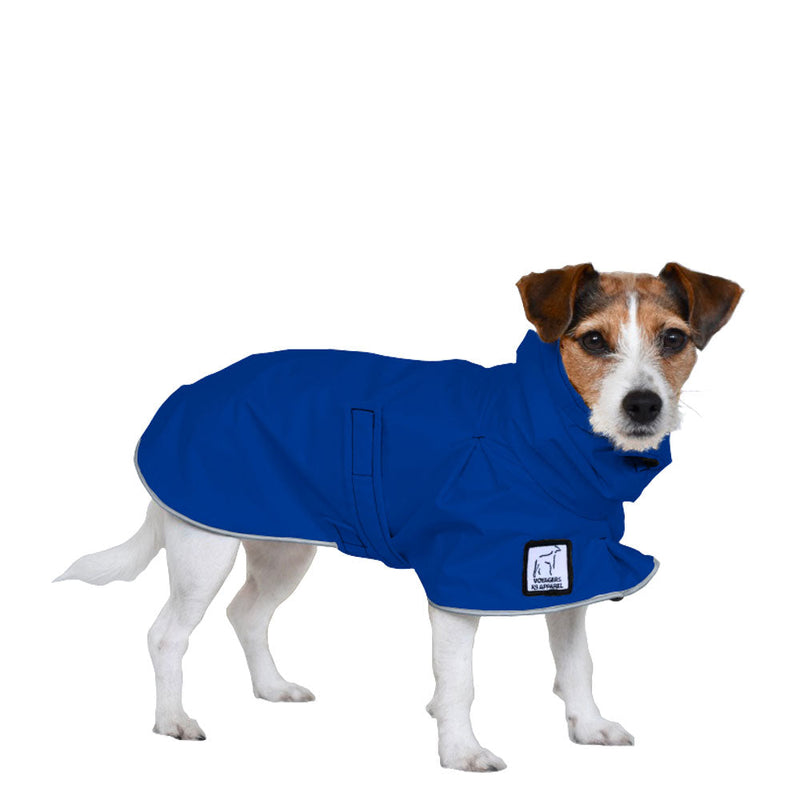 Jack Russell Terrier Raincoat in Cobalt Blue