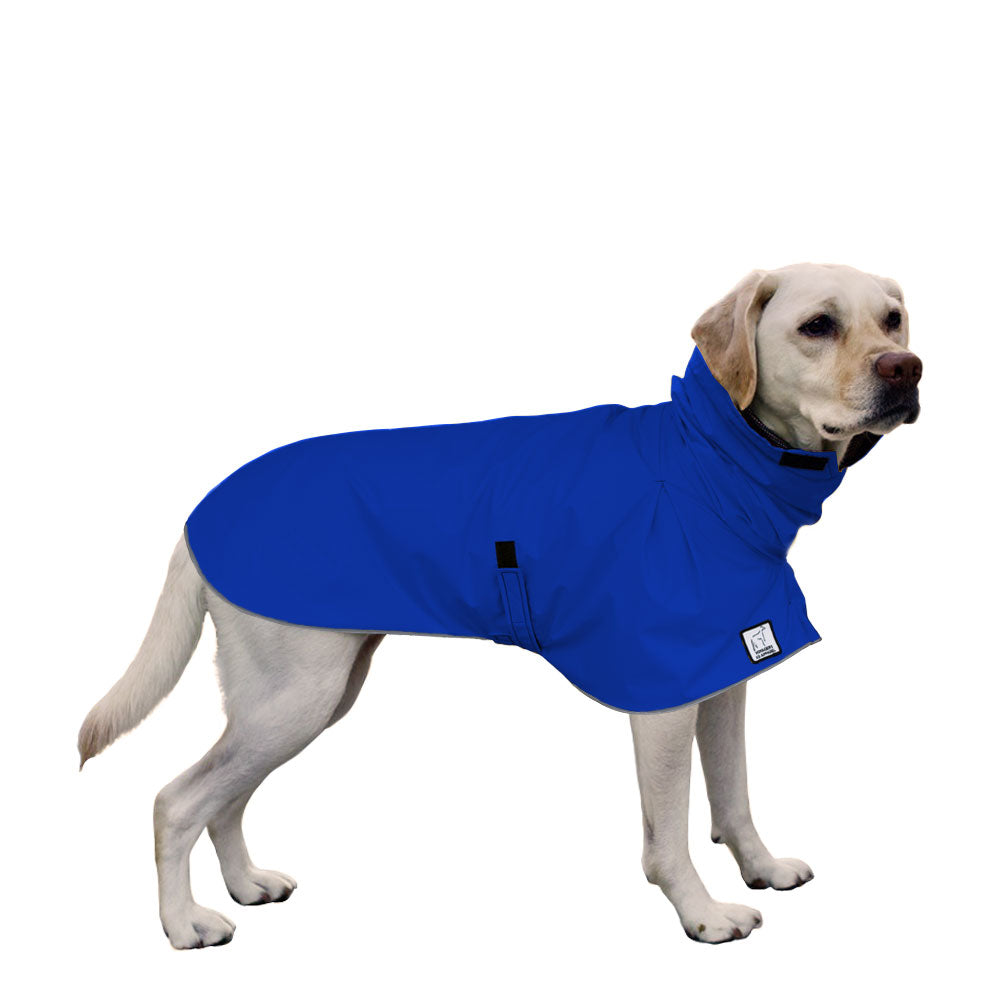 Labrador Retriever Raincoat in Cobalt Blue