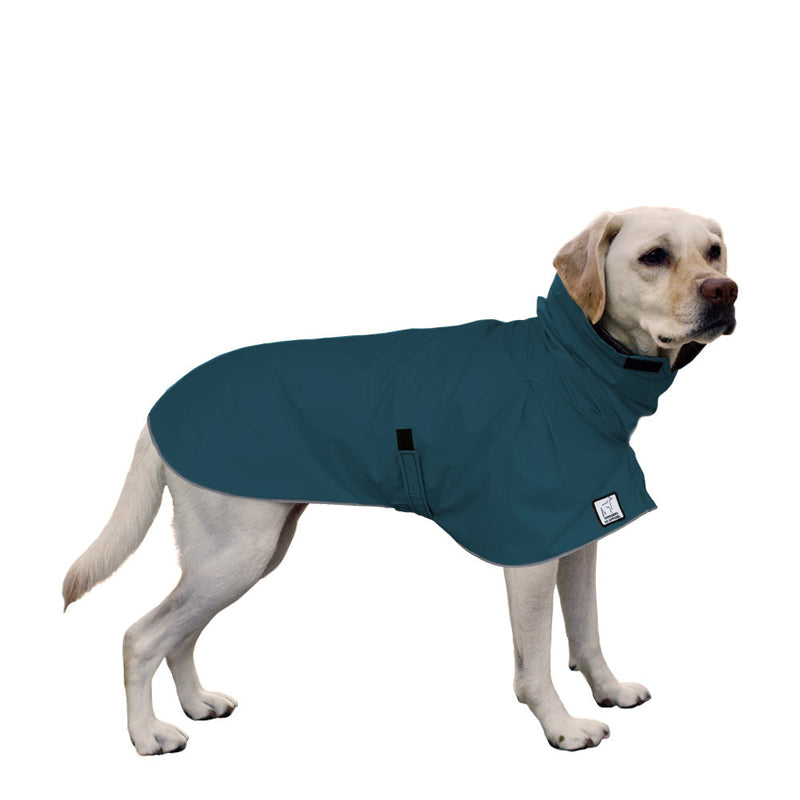 Labrador Retriever Raincoat in Dark Teal