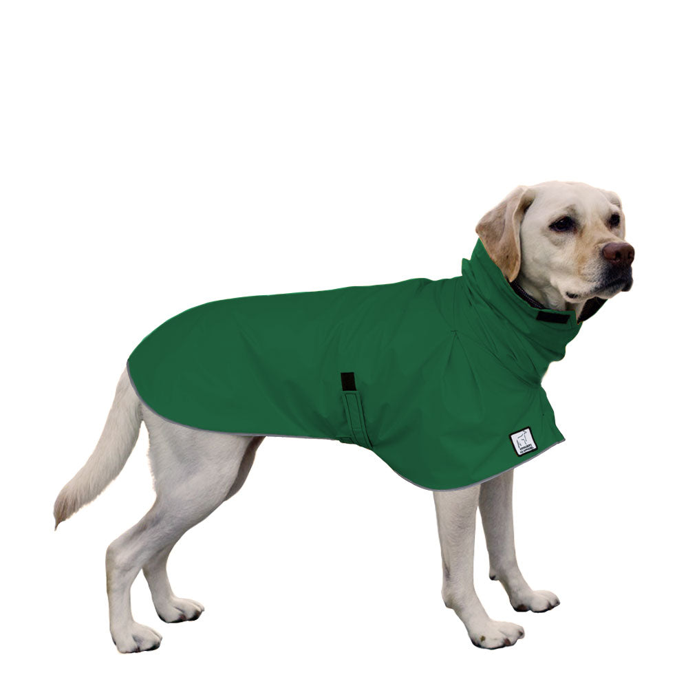 Labrador Retriever Raincoat in Green