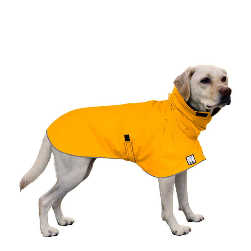 Labrador Retriever Raincoat in Yellow