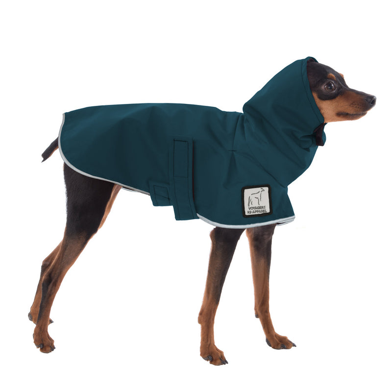 Miniature Pinscher Raincoat in Dark Teal