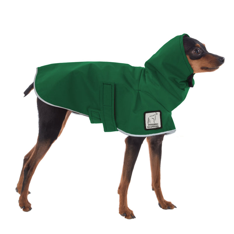 Miniature Pinscher Raincoat in Green