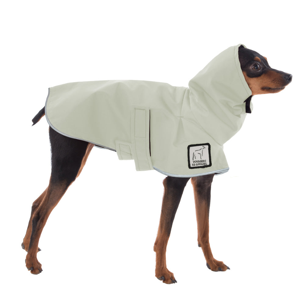 Miniature Pinscher Raincoat in Silver Sage