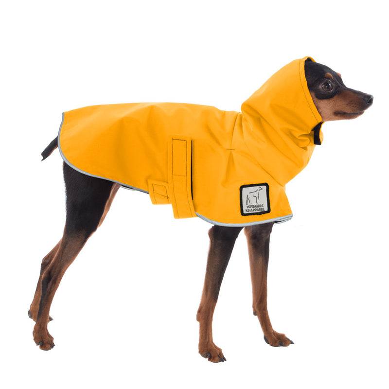 Miniature Pinscher Raincoat in Yellow