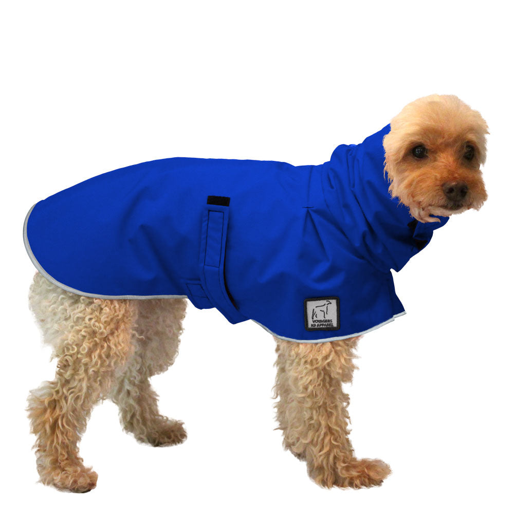Miniature Poodle Raincoat in Cobalt Blue