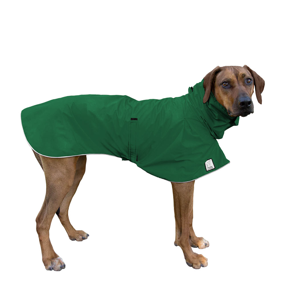 Rhodesian Ridgeback Raincoat in Green
