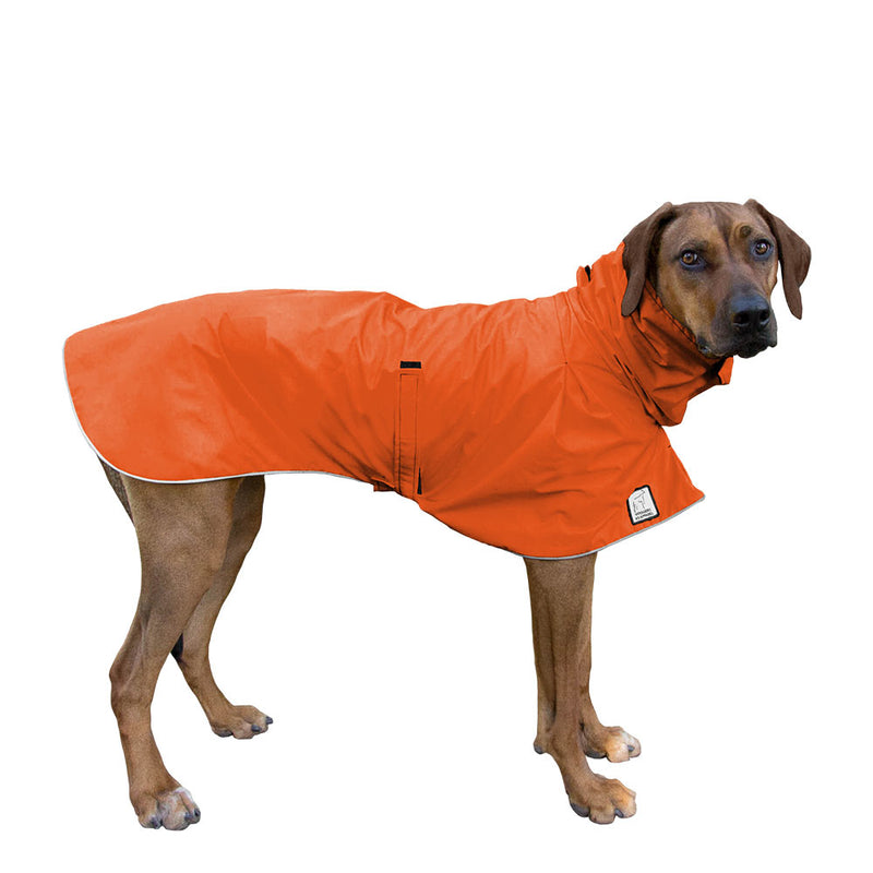 Rhodesian Ridgeback Raincoat in Orange