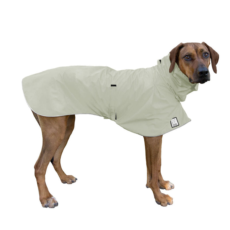 Rhodesian Ridgeback Raincoat in Silver Sage