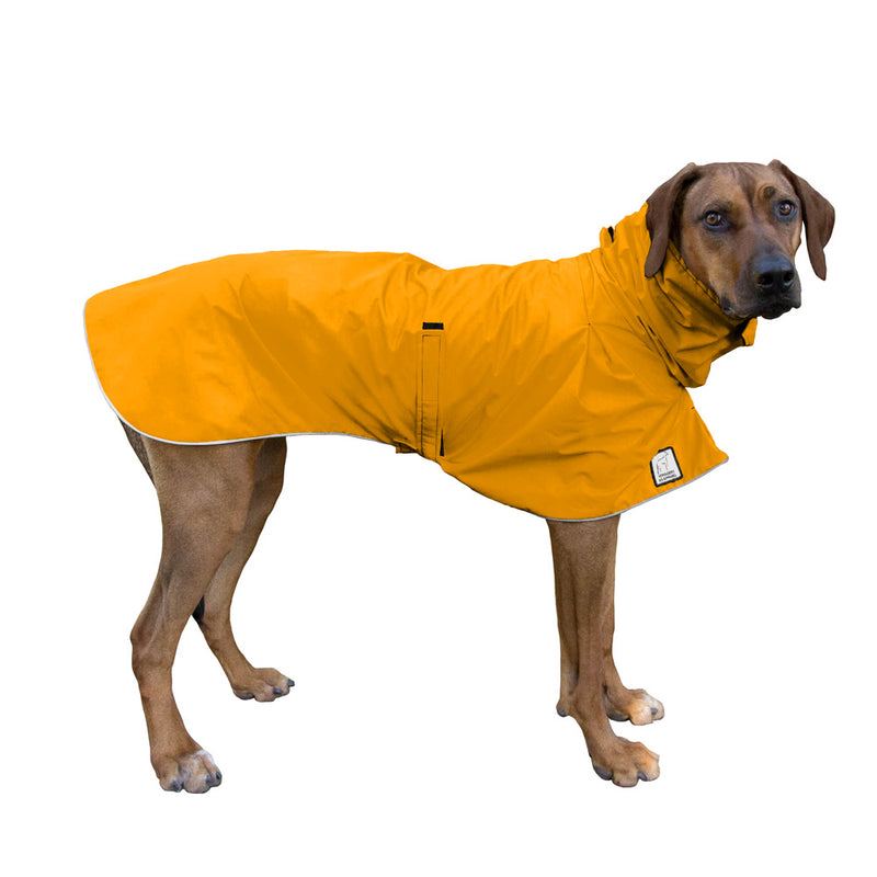 Rhodesian Ridgeback Raincoat in Yellow