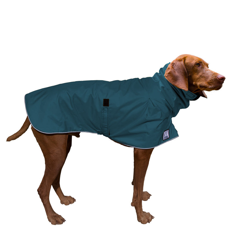Vizsla Raincoat in Dark Teal