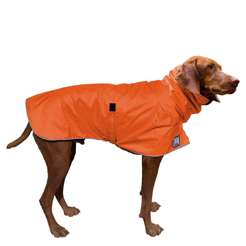 Vizsla Raincoat in Orange