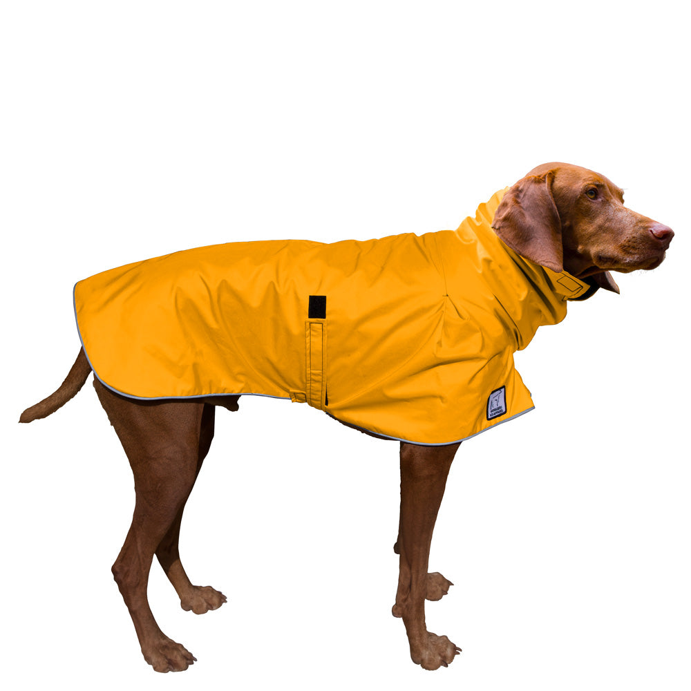 Vizsla Raincoat in Yellow
