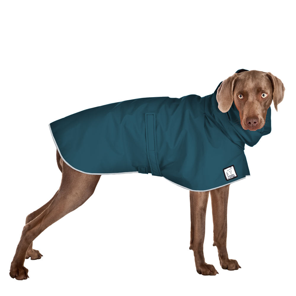 Weimaraner Raincoat in Dark Teal