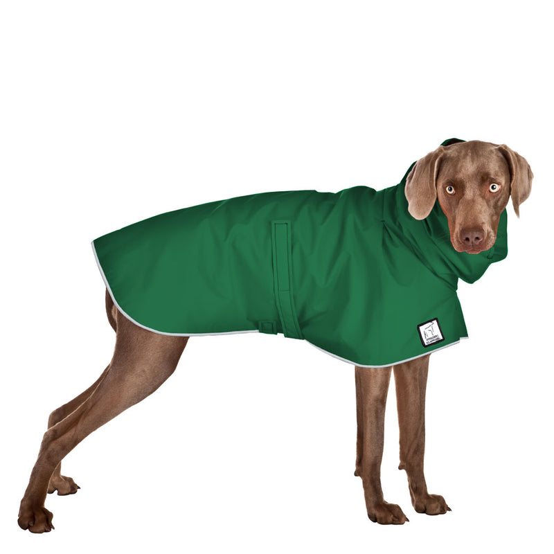 Weimaraner Raincoat in Green