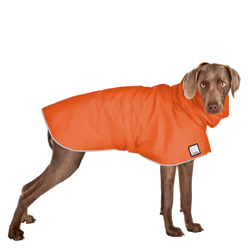Weimaraner Raincoat in Orange