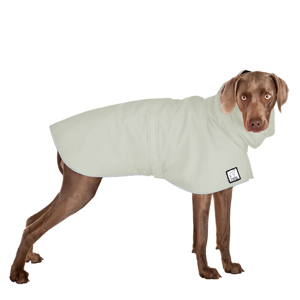 Weimaraner Raincoat in Silver Sage