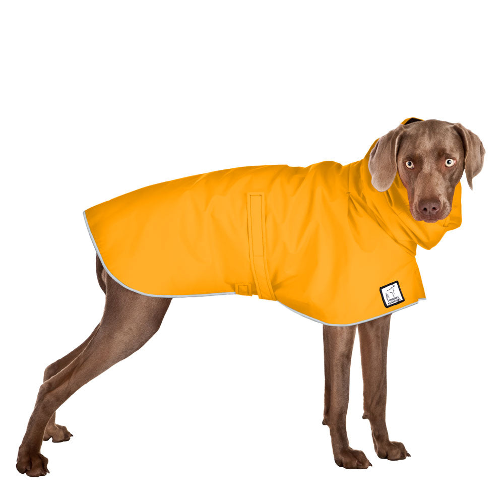 Weimaraner Raincoat in Yellow