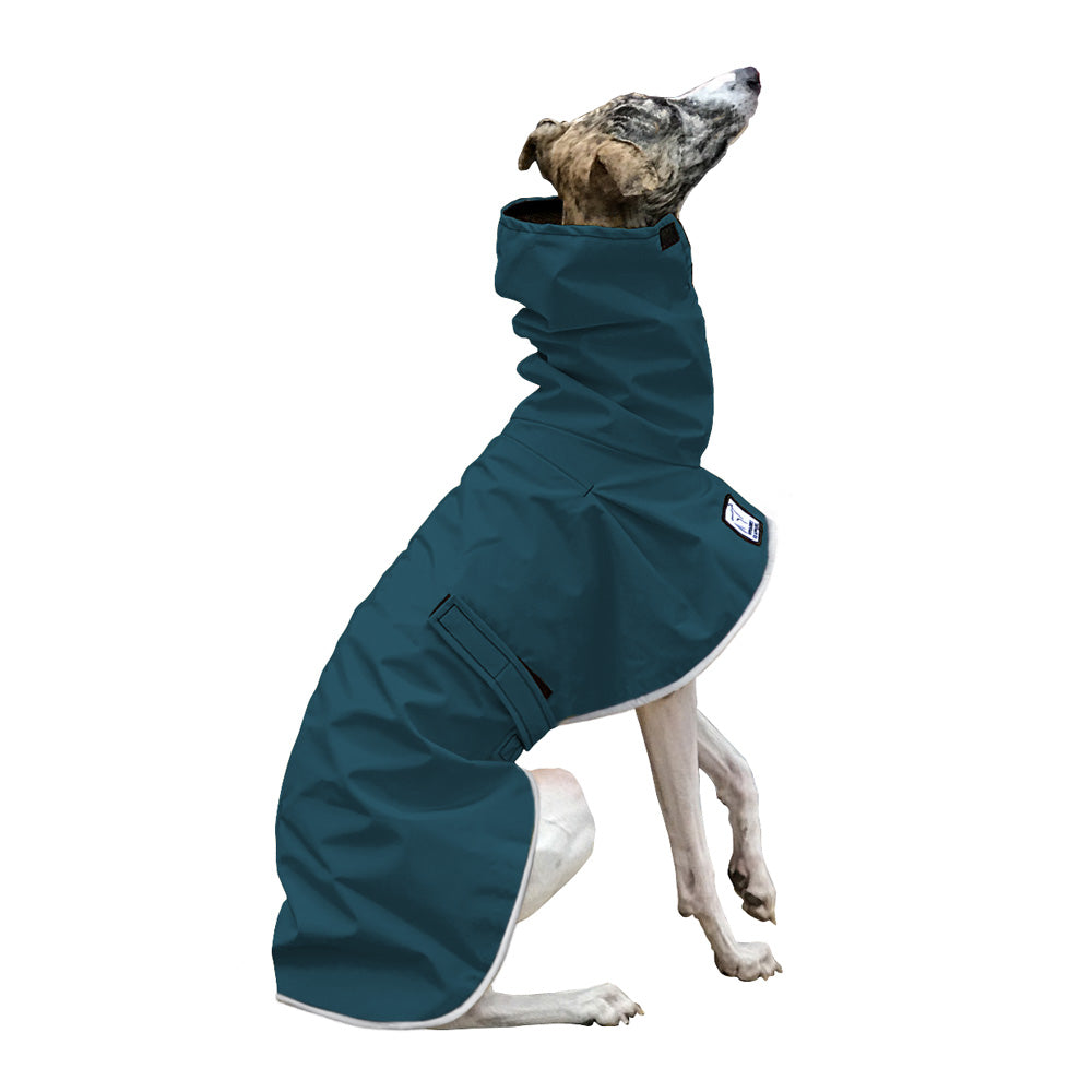 Whippet Raincoat in Dark Teal