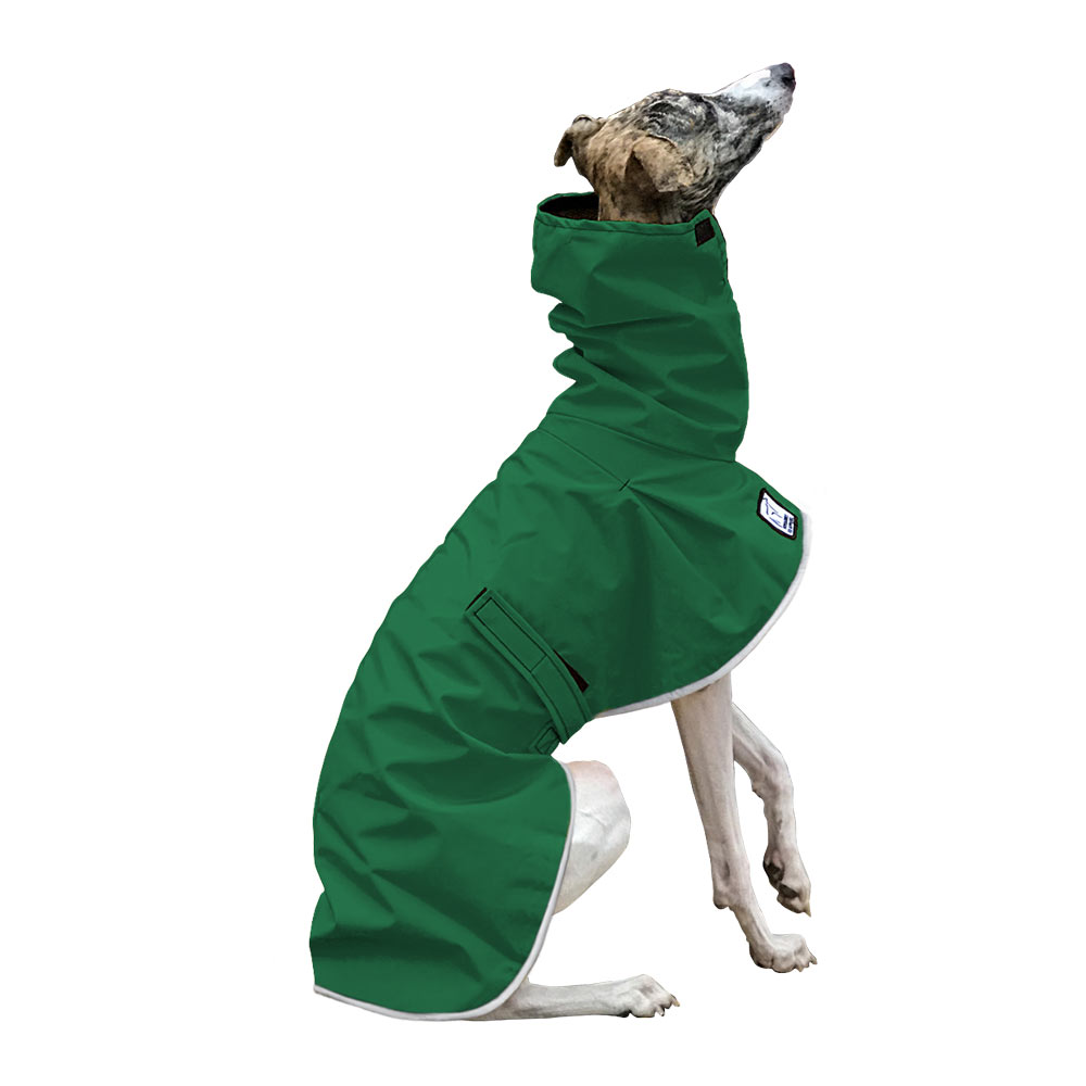 Whippet Raincoat in Green