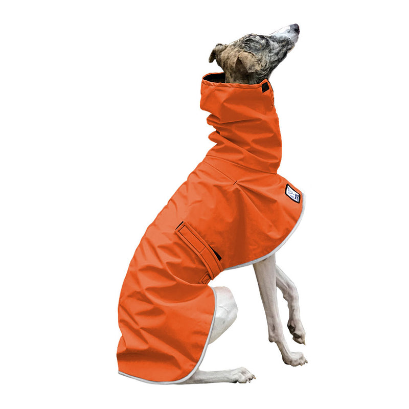 Whippet Raincoat in Orange
