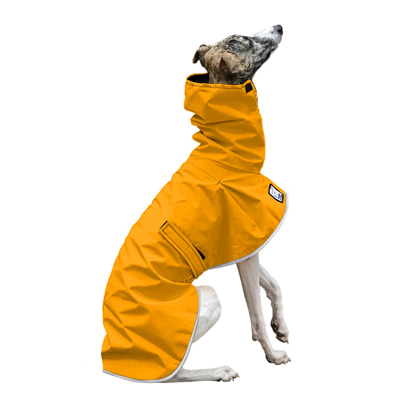 Whippet Raincoat in Yellow