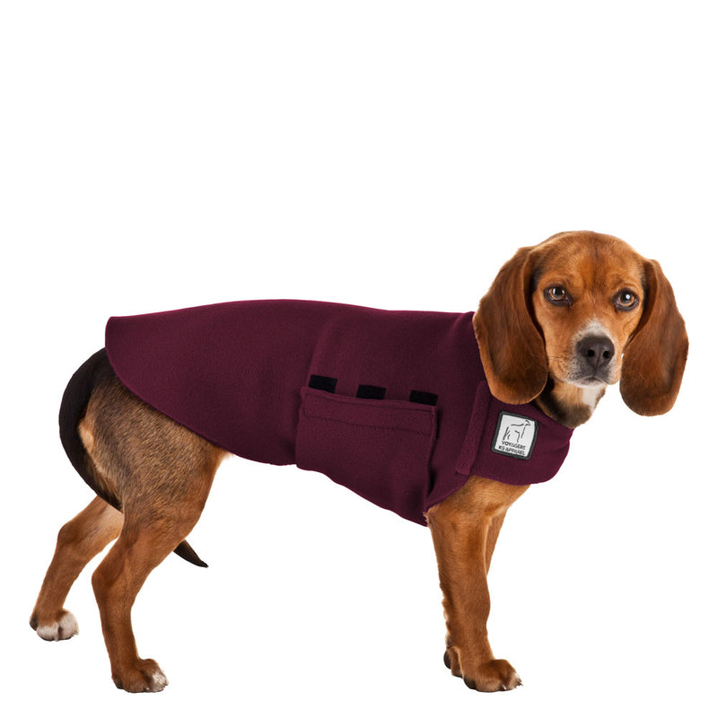 Beagle Tummy Warmer in Burgundy