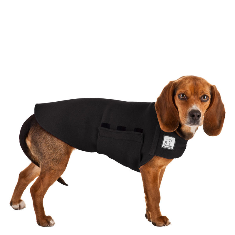 Beagle Tummy Warmer in Black