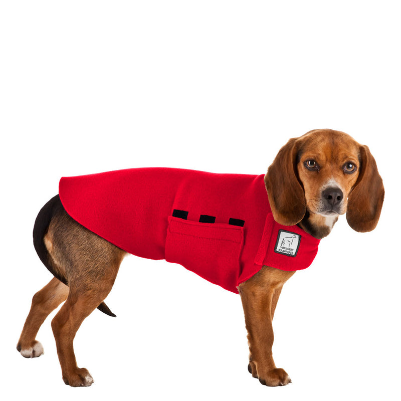 Beagle Tummy Warmer in Red