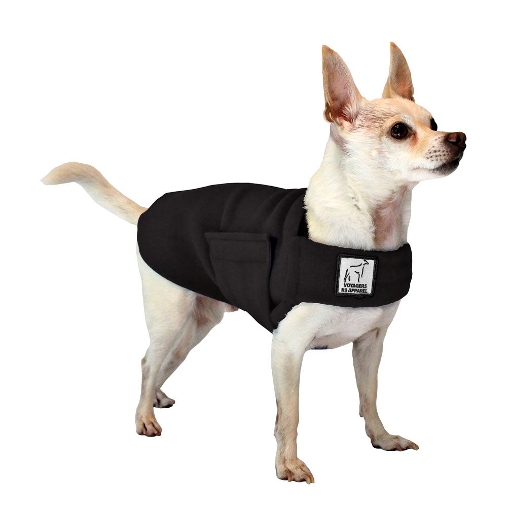 Chihuahua Tummy Warmer in Black