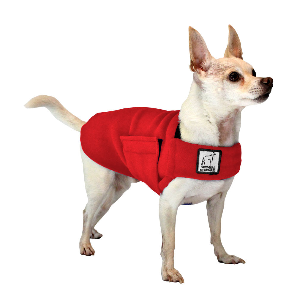Chihuahua Tummy Warmer in Red