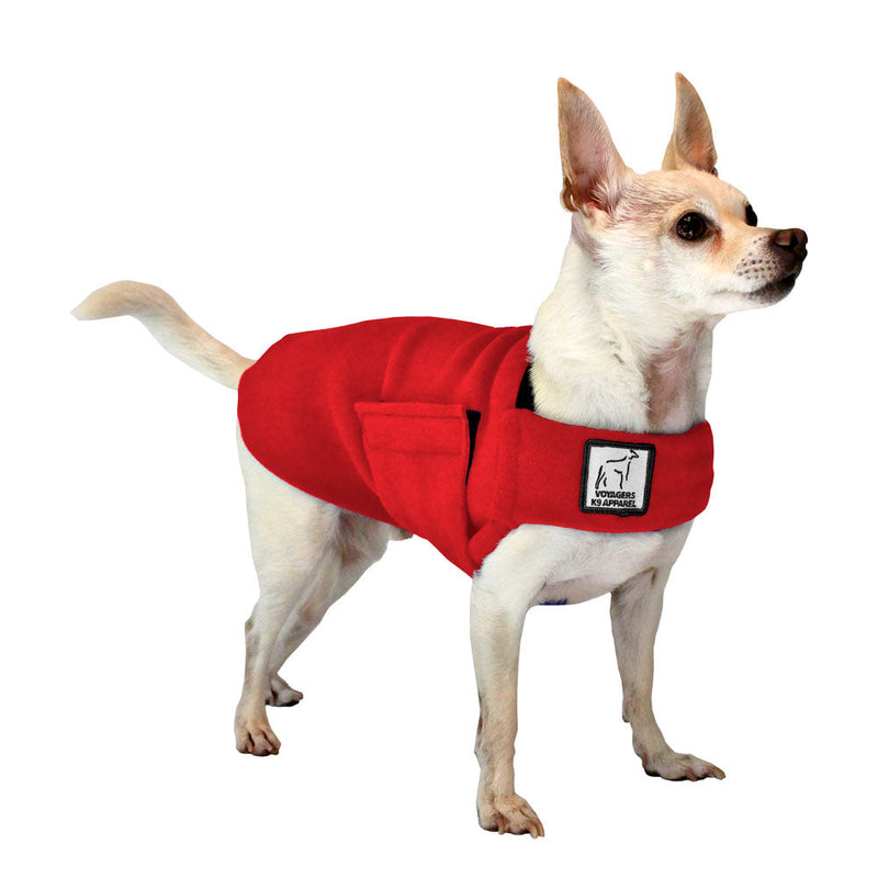 Chihuahua Tummy Warmer in Red