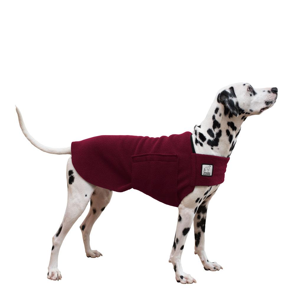 Dalmatian Tummy Warmer in Burgundy