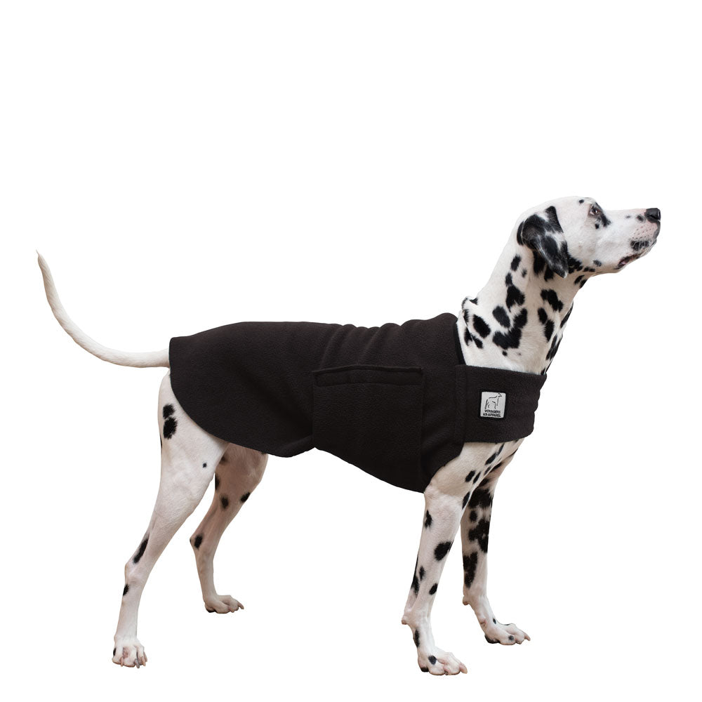 Dalmatian Tummy Warmer in Black