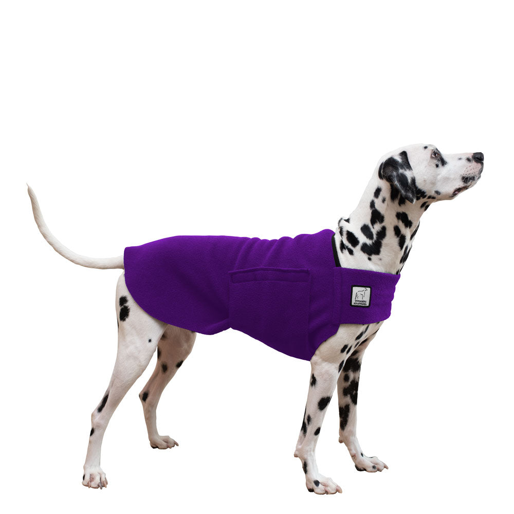 Dalmatian Tummy Warmer in Purple