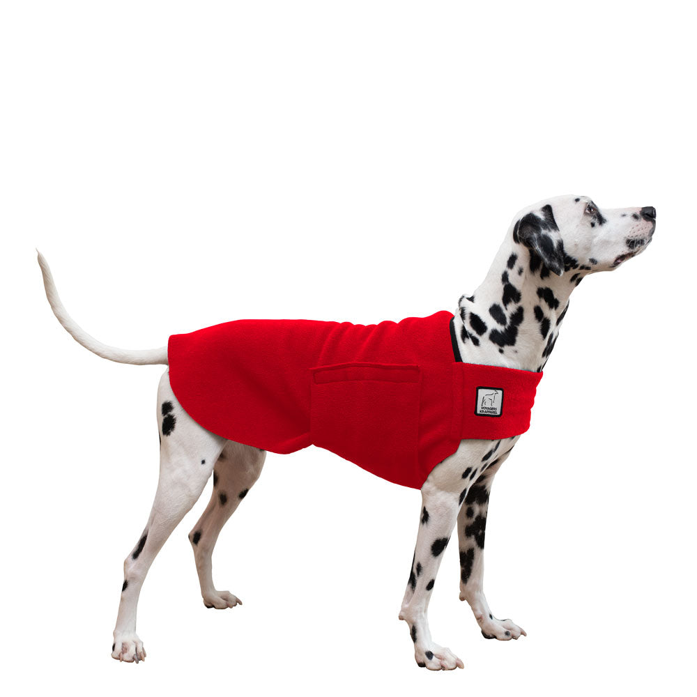 Dalmatian Tummy Warmer in Red