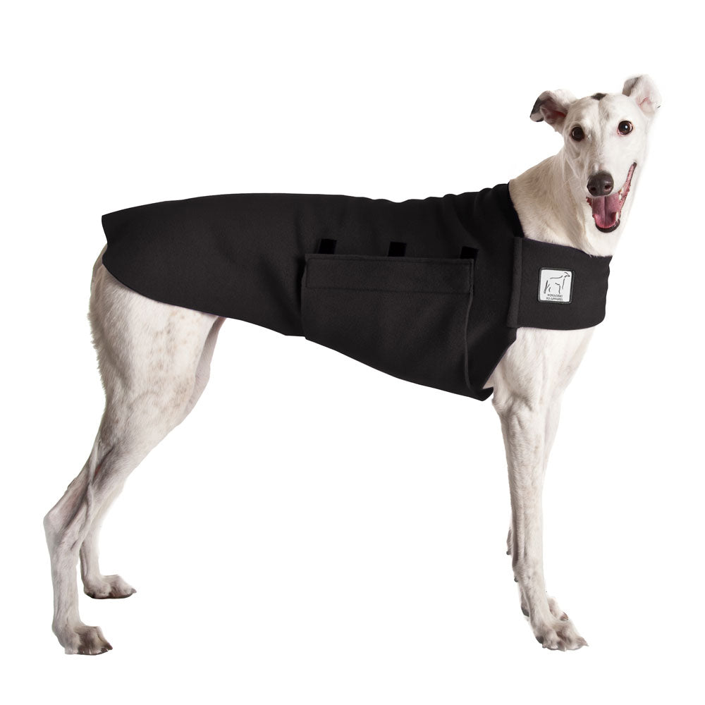 Greyhound Tummy Warmer in Black