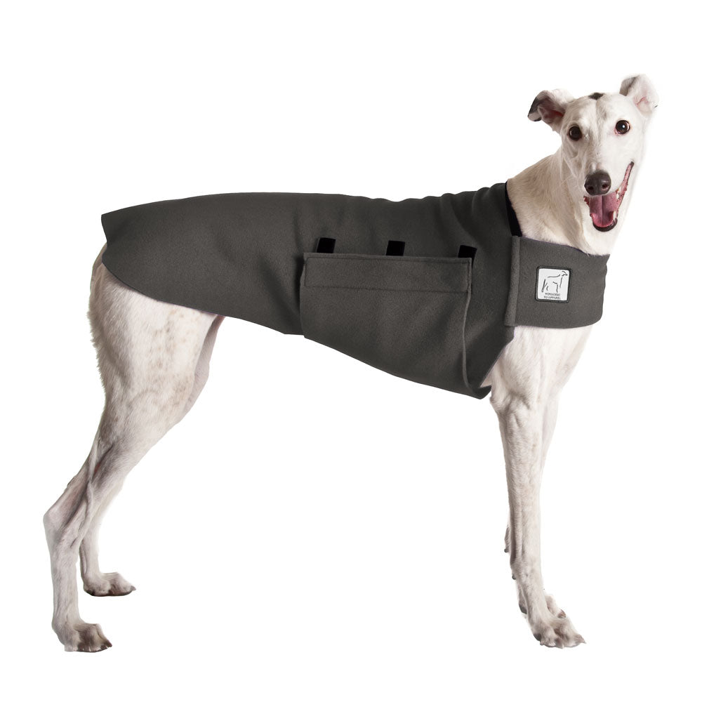 Greyhound Tummy Warmer in Nightfall