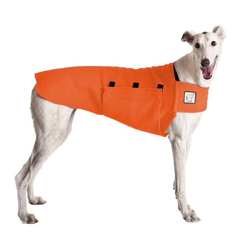 Greyhound Tummy Warmer in Orange