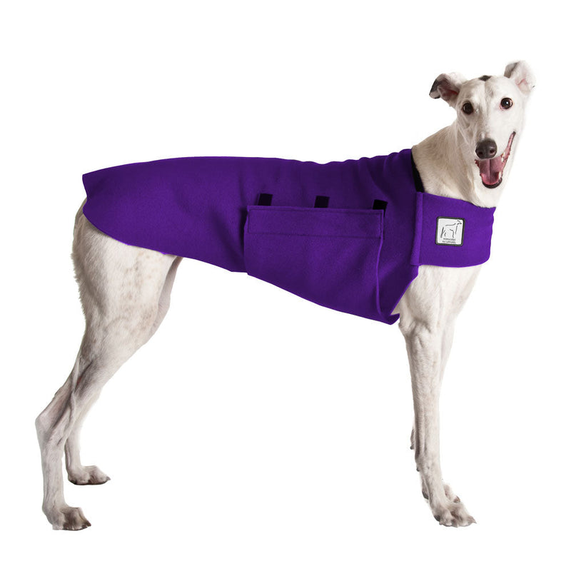 Greyhound Tummy Warmer in Purple