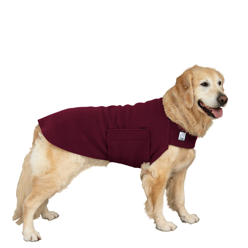 Golden Retriever Tummy Warmer in Burgundy