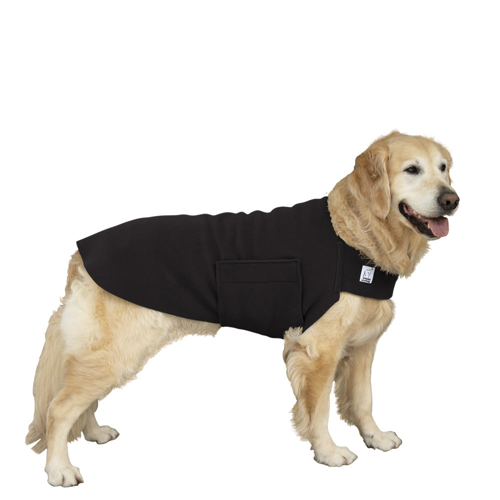 Golden Retriever Tummy Warmer in Black