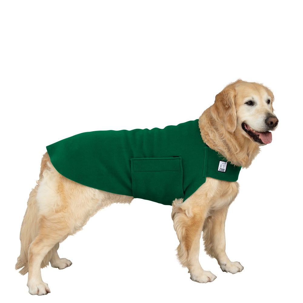 Golden Retriever Tummy Warmer in Green