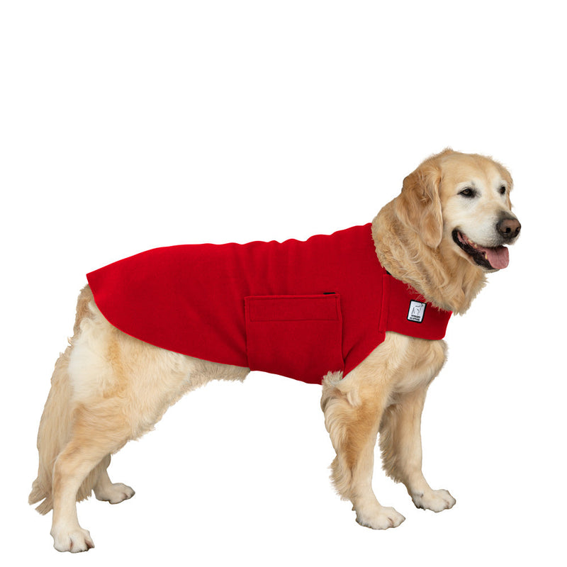 Golden Retriever Tummy Warmer in Red