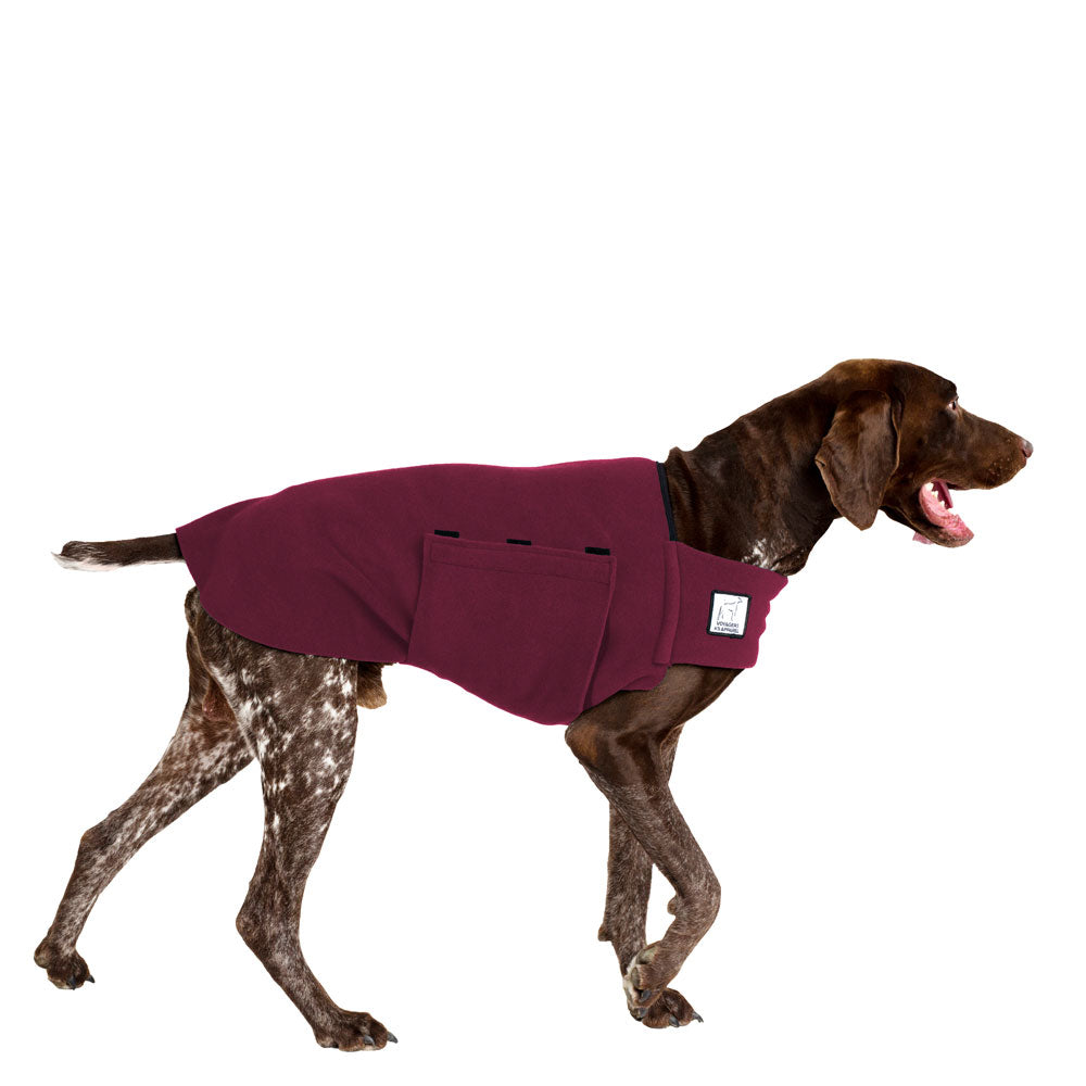 German Shorthaired Pointer Tummy Warmer in Burgundy